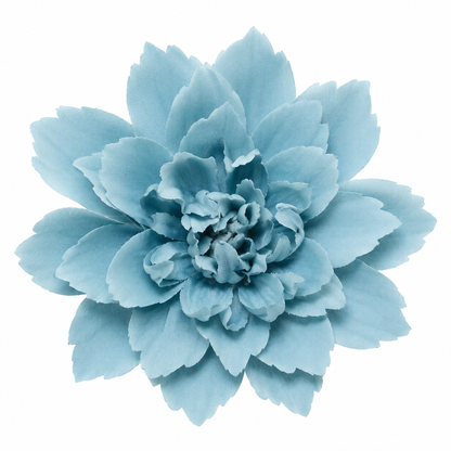 Bloomora 3D Ceramic Wall Flowers – Sculptural Floral Wall Décor