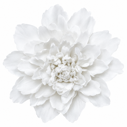 Bloomora 3D Ceramic Wall Flowers – Sculptural Floral Wall Décor