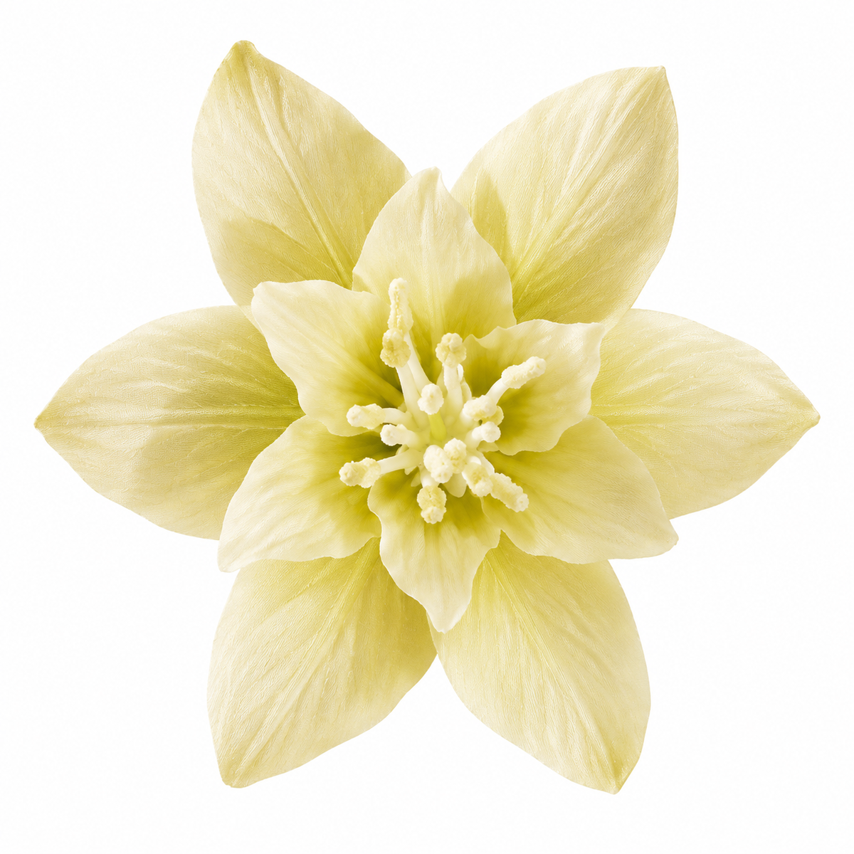 Bloomora 3D Ceramic Wall Flowers – Sculptural Floral Wall Décor