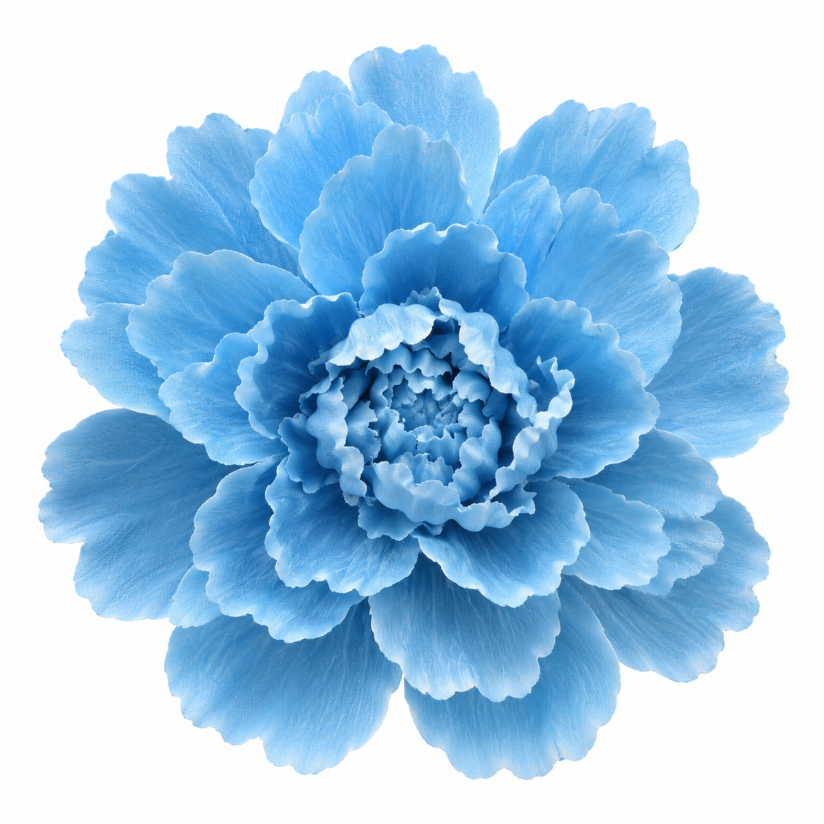 Bloomora 3D Ceramic Wall Flowers – Sculptural Floral Wall Décor
