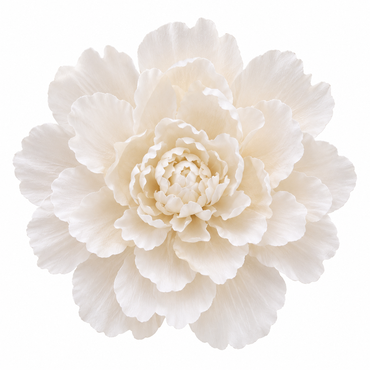 Bloomora 3D Ceramic Wall Flowers – Sculptural Floral Wall Décor