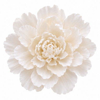Bloomora 3D Ceramic Wall Flowers – Sculptural Floral Wall Décor