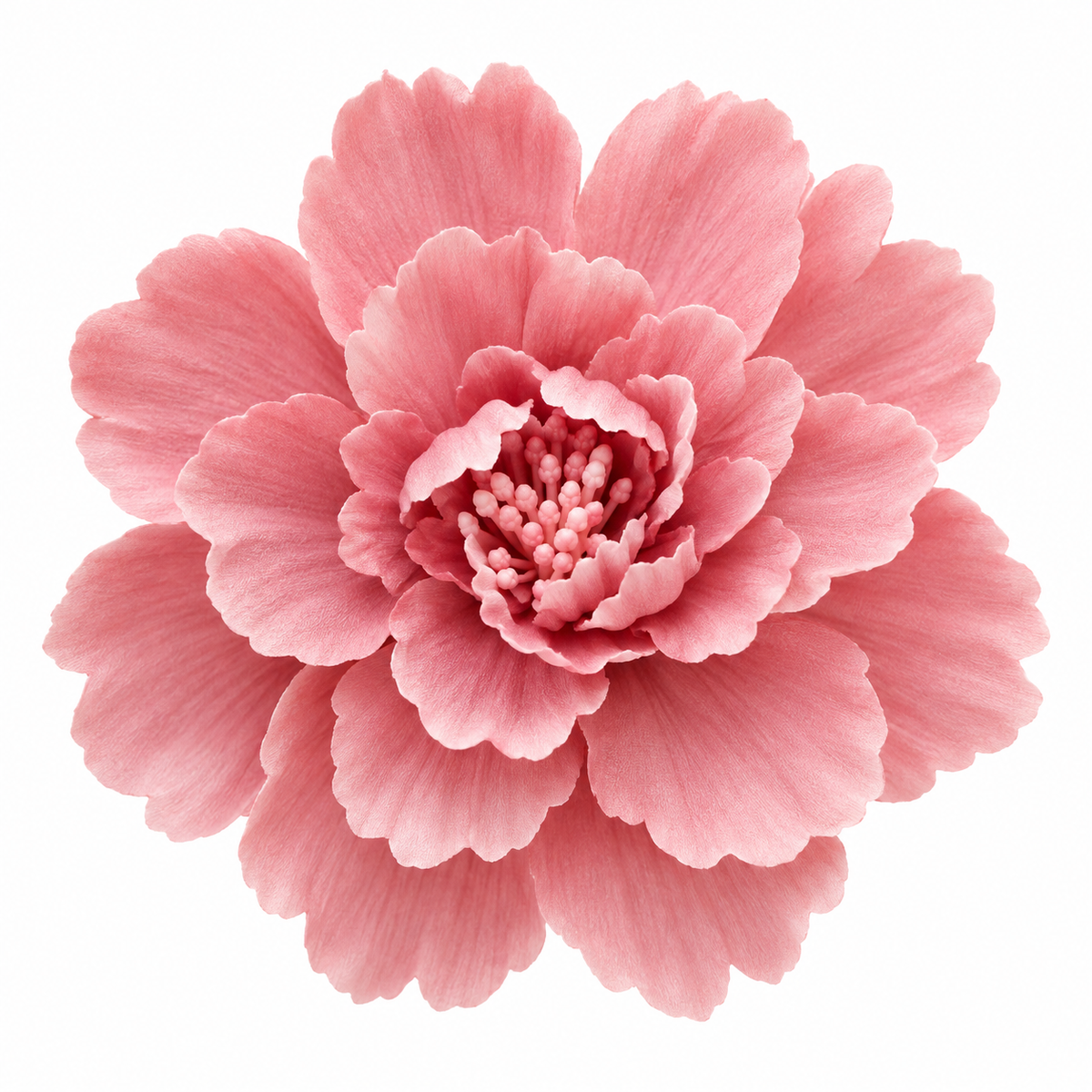 Bloomora 3D Ceramic Wall Flowers – Sculptural Floral Wall Décor