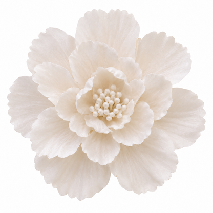 Bloomora 3D Ceramic Wall Flowers – Sculptural Floral Wall Décor