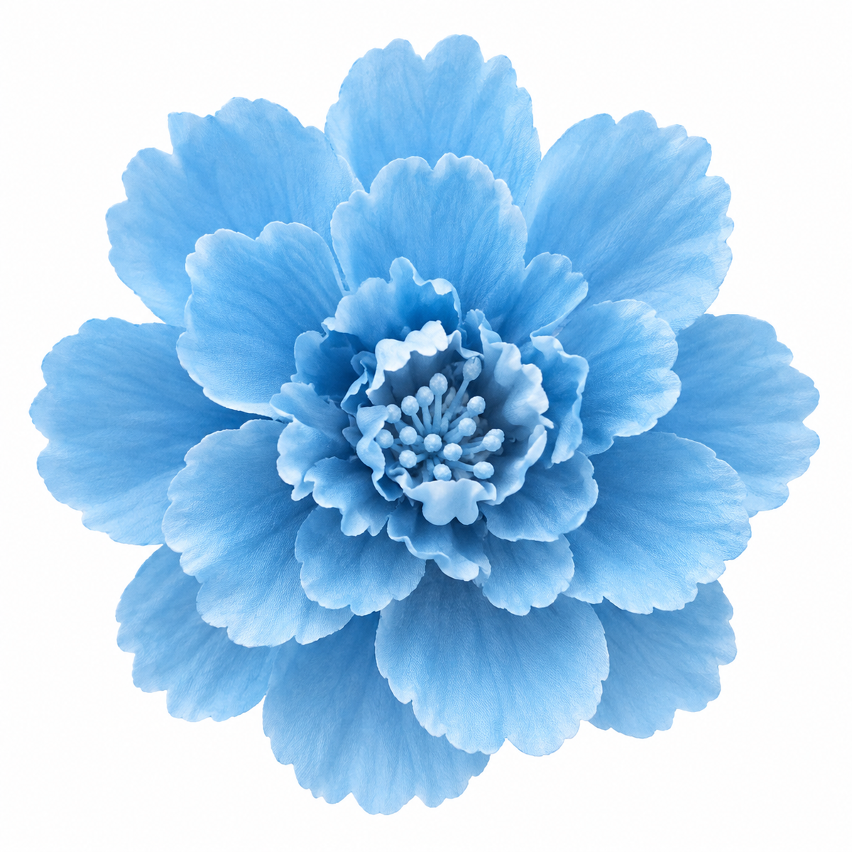 Bloomora 3D Ceramic Wall Flowers – Sculptural Floral Wall Décor