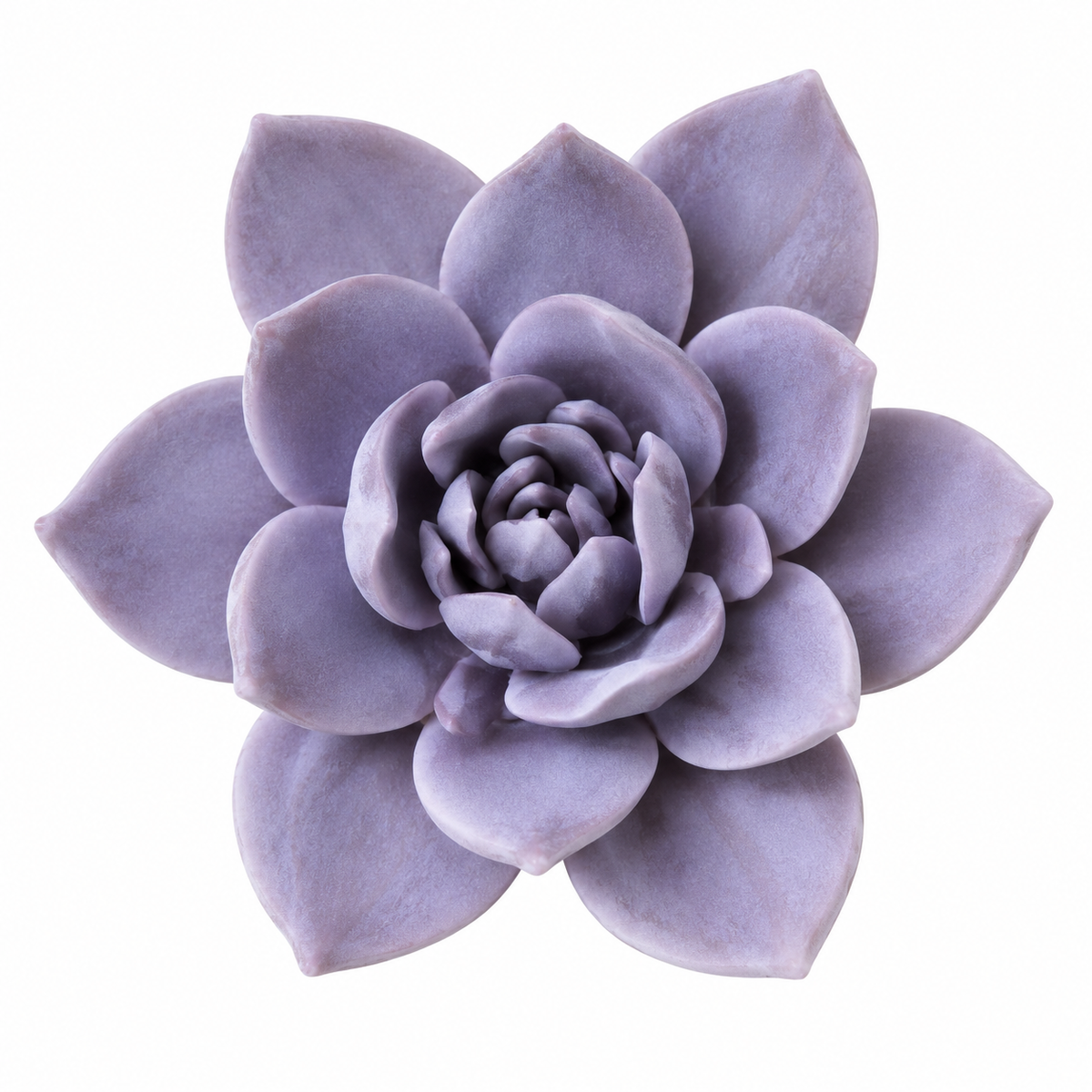 Bloomora 3D Ceramic Wall Flowers – Sculptural Floral Wall Décor