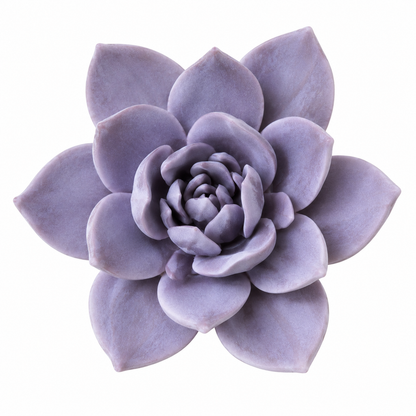 Bloomora 3D Ceramic Wall Flowers – Sculptural Floral Wall Décor