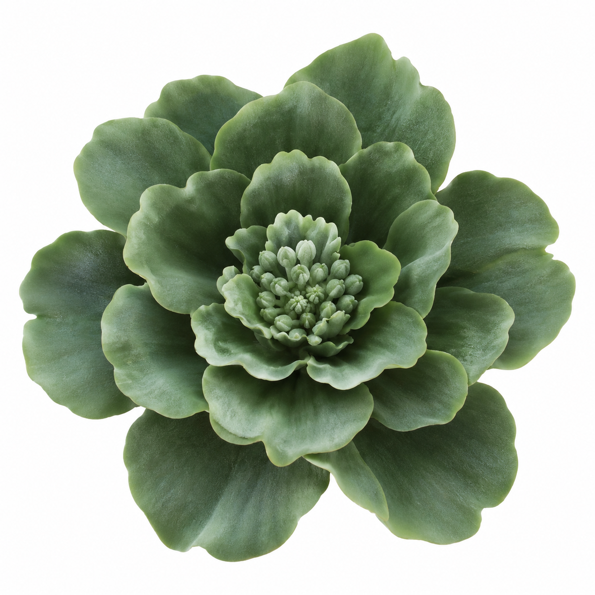 Bloomora 3D Ceramic Wall Flowers – Sculptural Floral Wall Décor