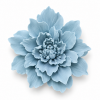 Pale Blue Flower