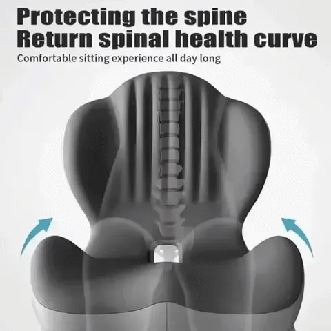 Monizes™ ErgoNest – Integrated Memory Foam Seat & Lumbar Support Cushion