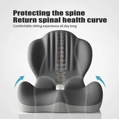 Monizes™ ErgoNest – Integrated Memory Foam Seat & Lumbar Support Cushion